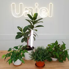 Светильник для растений полного спектра UNIEL ULT-P39 6 Вт (UL-00007147)